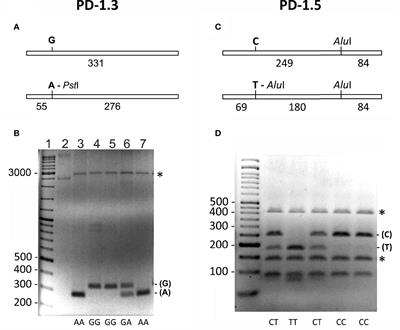 Significance of PD1 Alternative Splicing in Celiac Disease as a Novel Source for Diagnostic and Therapeutic Target